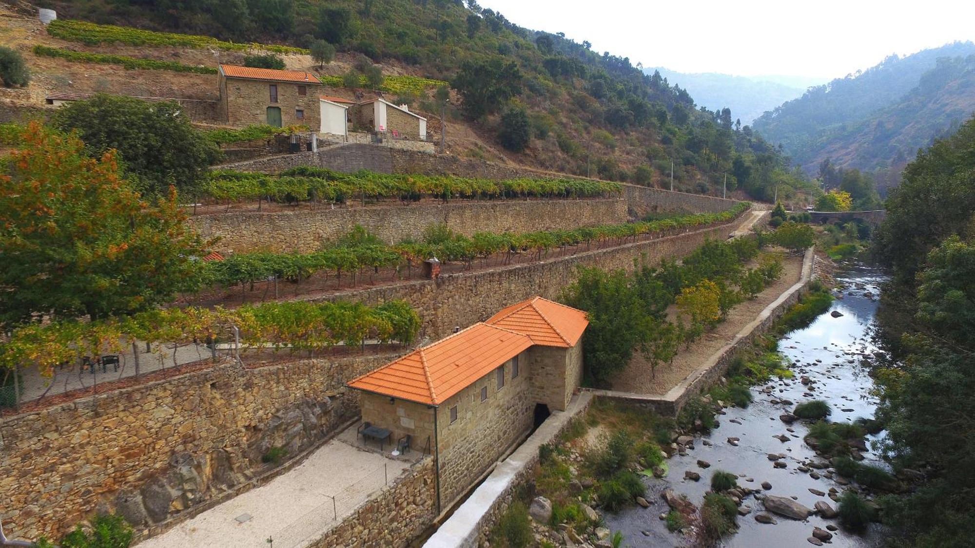 Villa Quinta De Reciao Lamego Esterno foto